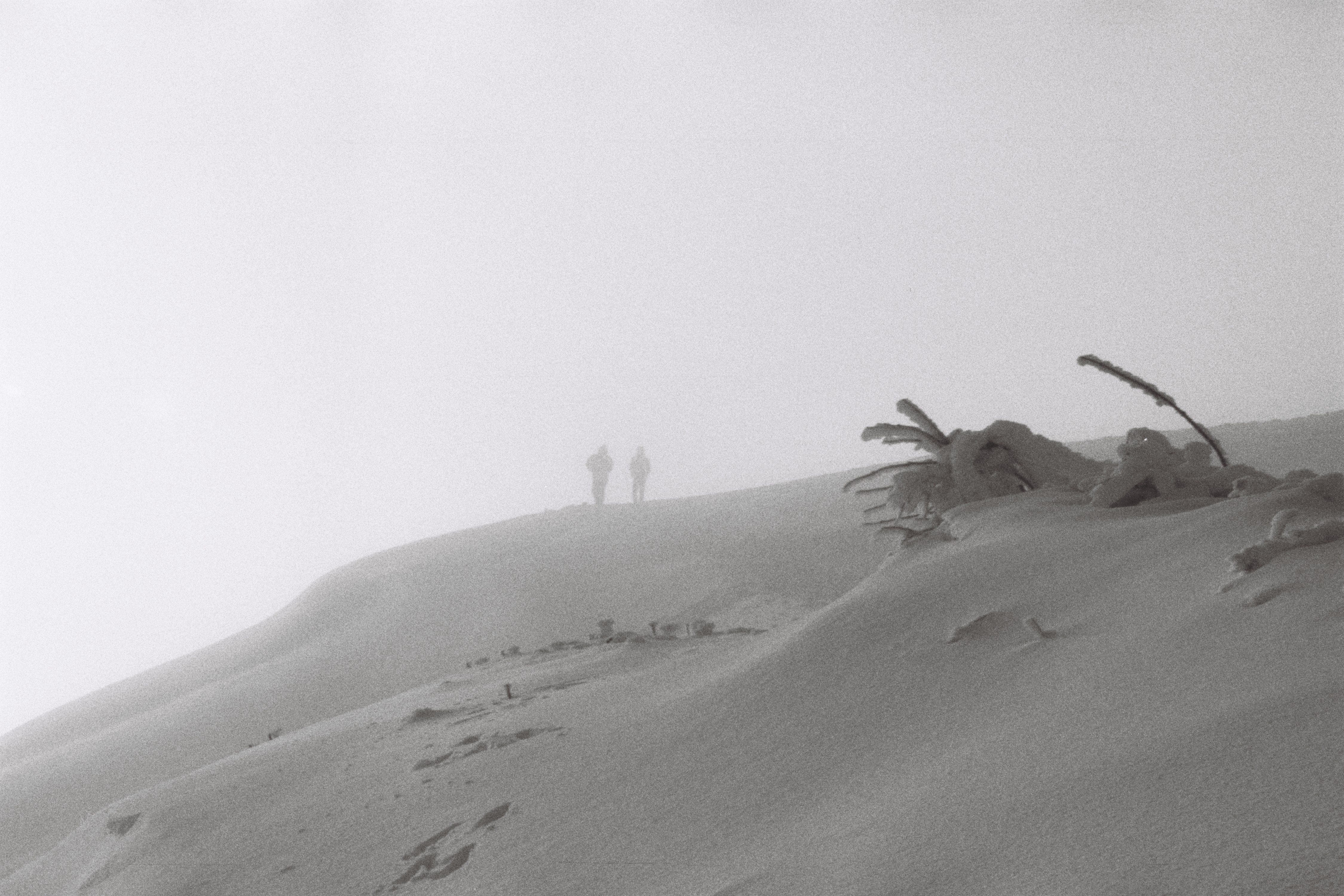 Cantal — brouillard